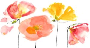 Por qué la carrera para cultivar las mejores amapolas islandesas es una lección de ego y obsesión