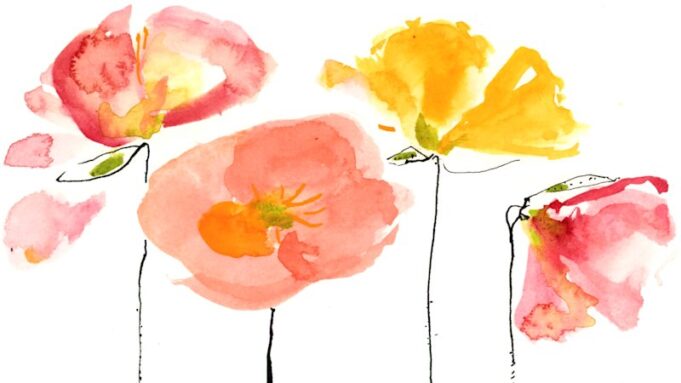 Por qué la carrera para cultivar las mejores amapolas islandesas es una lección de ego y obsesión