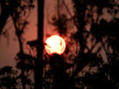 Cómo el aumento de las temperaturas y el clima extremo están costando a los residentes 20.000 dólares al año