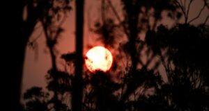 Cómo el aumento de las temperaturas y el clima extremo están costando a los residentes 20.000 dólares al año