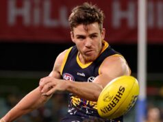 El exjugador de la AFL Paul Seedsman tiene esperanzas mientras los investigadores exploran el uso de la terapia asistida por psicodélicos a partir de hongos mágicos para tratar los síntomas persistentes de lesión cerebral