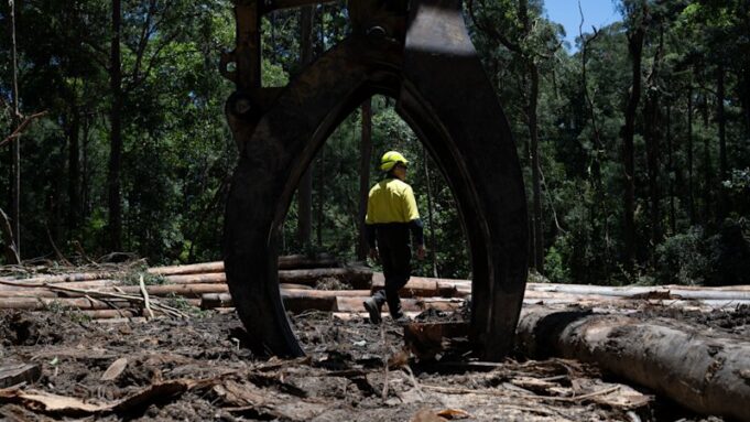 El gobierno de Nueva Gales del Sur utilizará un nuevo plan de créditos de carbono para financiar la protección de los bosques y poner fin a la tala