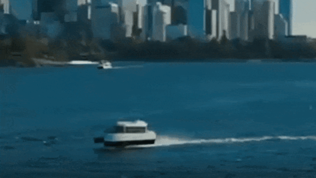 c51ae08c224afe5b0699b7d48709c6407a84f7361a87a1e95b1789274b7d24d2.gif