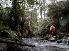 El acceso a la naturaleza es importante para la salud física y mental, confirma un estudio