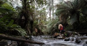 El acceso a la naturaleza es importante para la salud física y mental, confirma un estudio