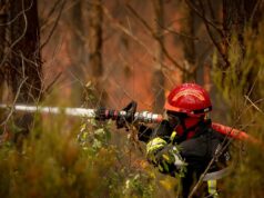 Los Emiratos Árabes Unidos expresan su solidaridad con Francia por los incendios forestales