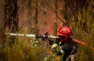 Los Emiratos Árabes Unidos expresan su solidaridad con Francia por los incendios forestales