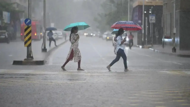 rain-1783002686802_d.png