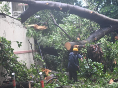 Los jardines de Mumbai permanecerán cerrados el 7 de julio mientras continúan las fuertes lluvias y los fuertes vientos en la ciudad
