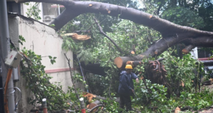 Los jardines de Mumbai permanecerán cerrados el 7 de julio mientras continúan las fuertes lluvias y los fuertes vientos en la ciudad