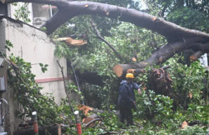 Los jardines de Mumbai permanecerán cerrados el 7 de julio mientras continúan las fuertes lluvias y los fuertes vientos en la ciudad