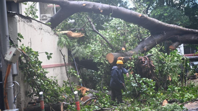 Los jardines de Mumbai permanecerán cerrados el 7 de julio mientras continúan las fuertes lluvias y los fuertes vientos en la ciudad