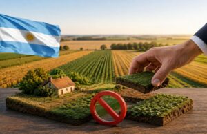 Argentina frena cambios para facilitar la venta de tierras a extranjeros