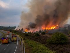 Grave incendio en New Forest se extiende a una zona protegida y mantiene cerrada la A31