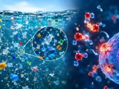 Microplásticos en el agua: un estudio descubre que pueden generar sustancias químicas potencialmente dañinas